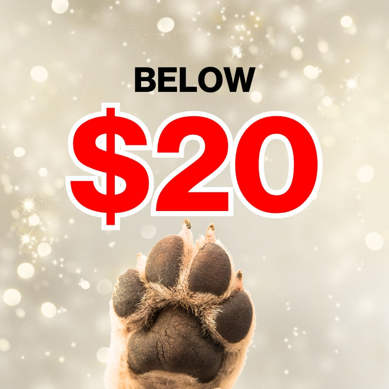 Below $20 X'mas Gift.