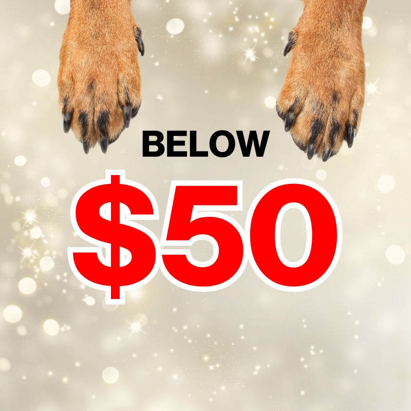 Below $50 X'mas Gift.