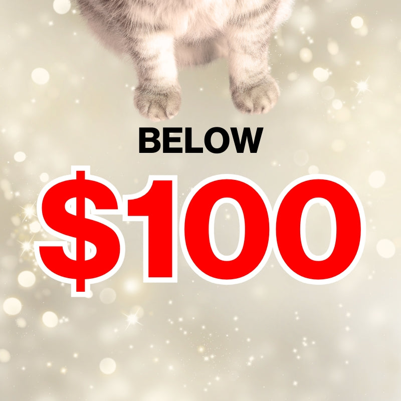 Below $100 X'mas Gift.