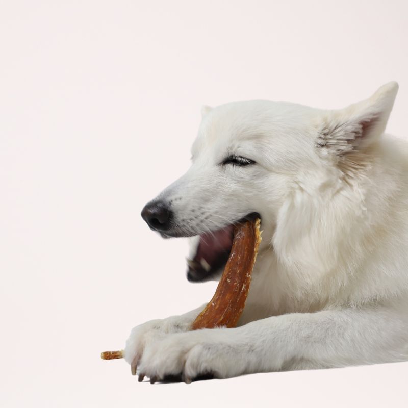 Chews.