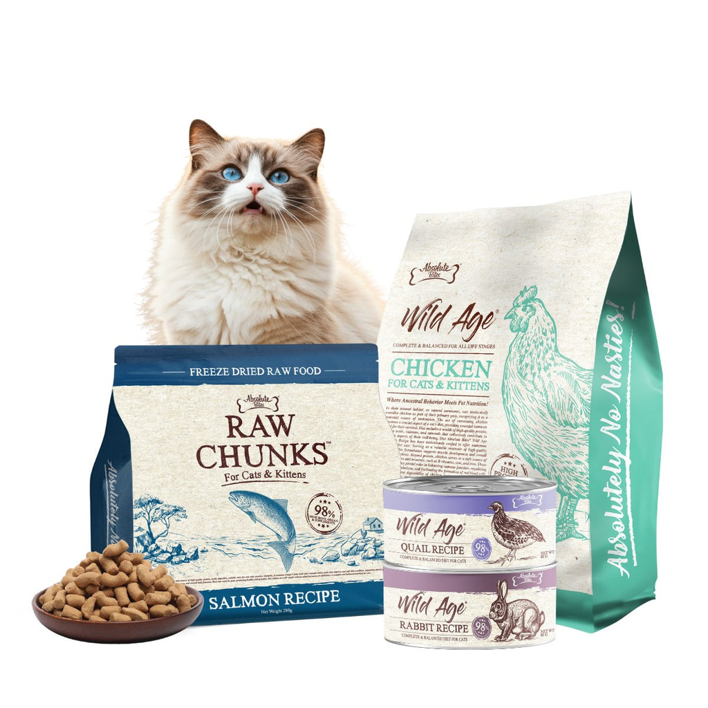 Cat Food | Wet, Dry & Raw Formulas Singapore