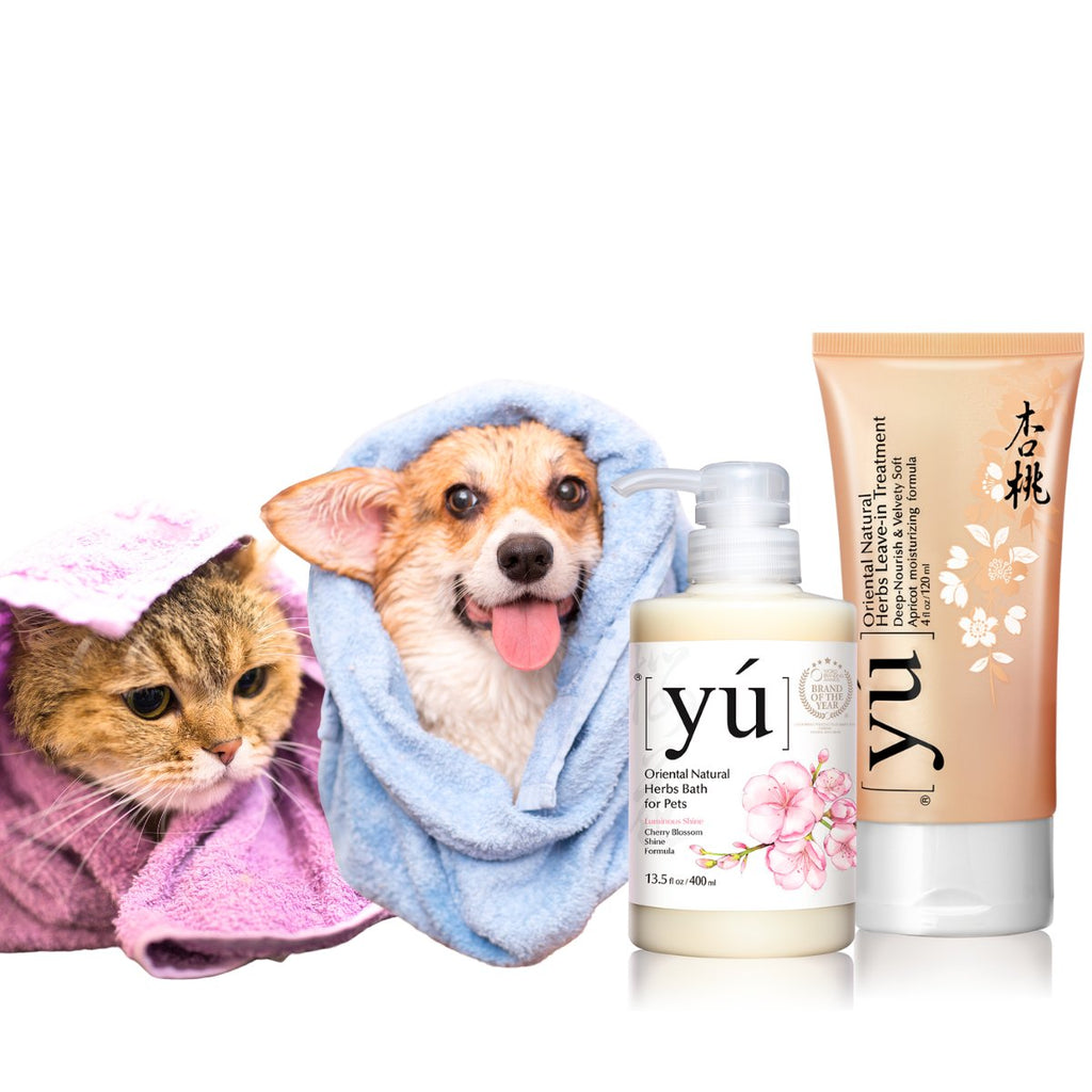 Dog & Cat Shampoo.