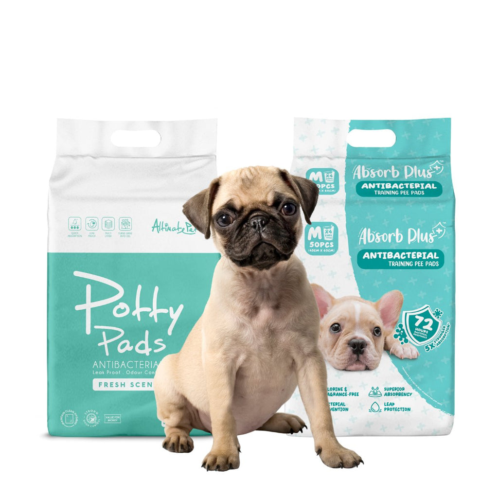 Dog Training Pads.