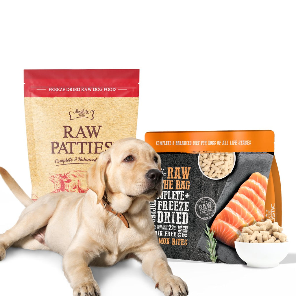 Dog Food and Dog Kibbles Singapore.