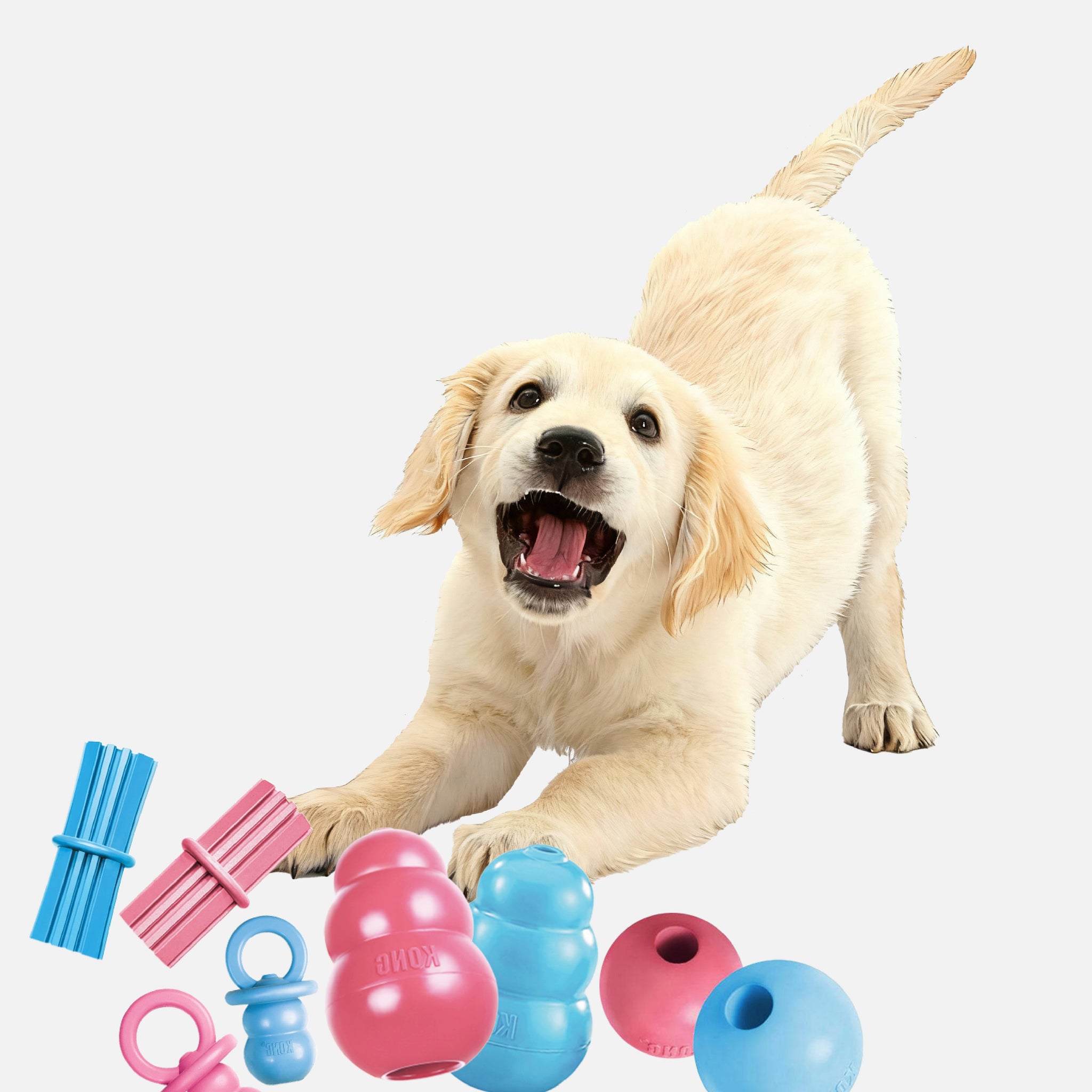 Dog Toy.
