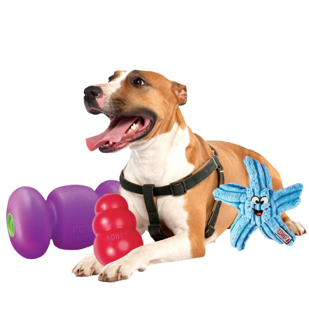 Dog Toy.