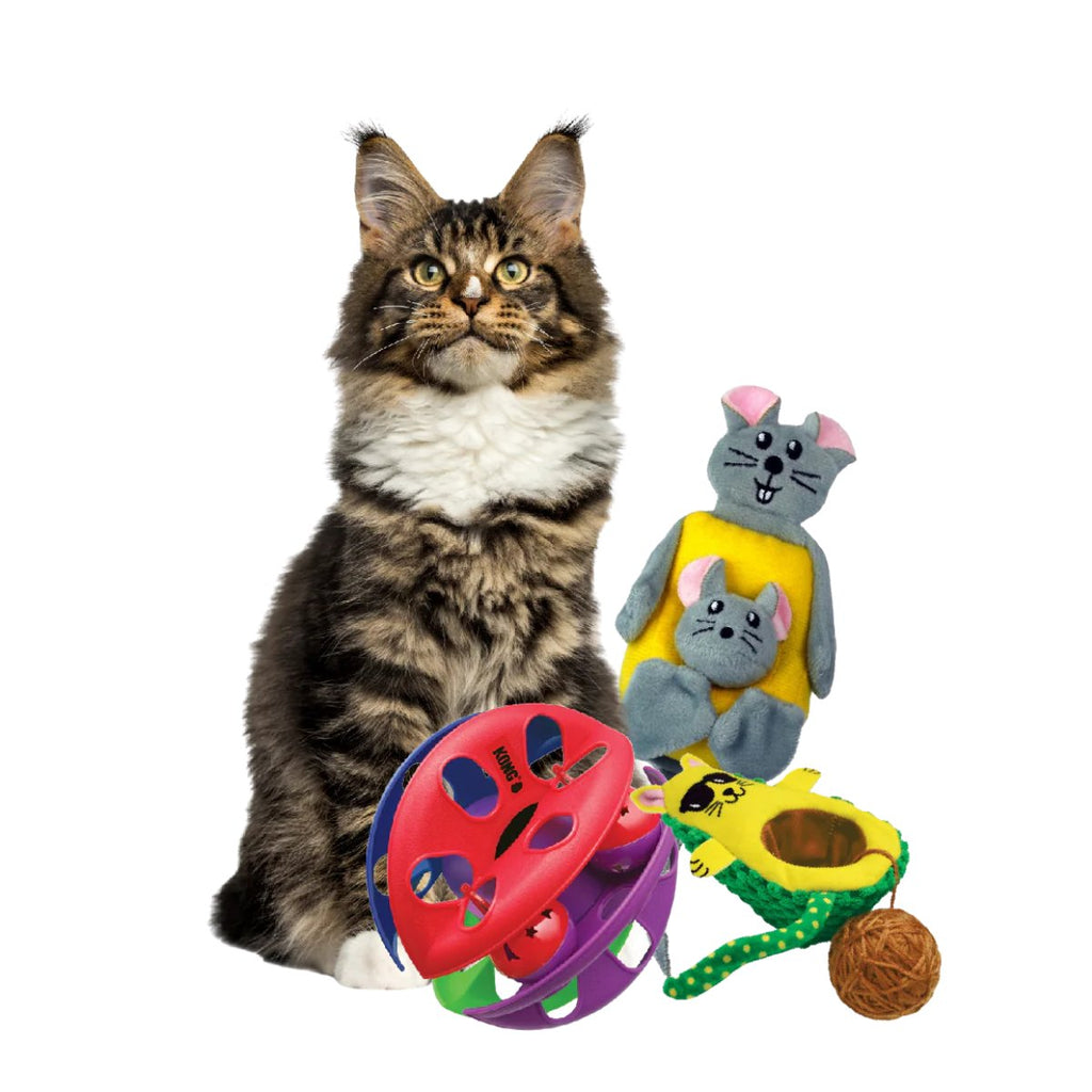 Cat Toy.