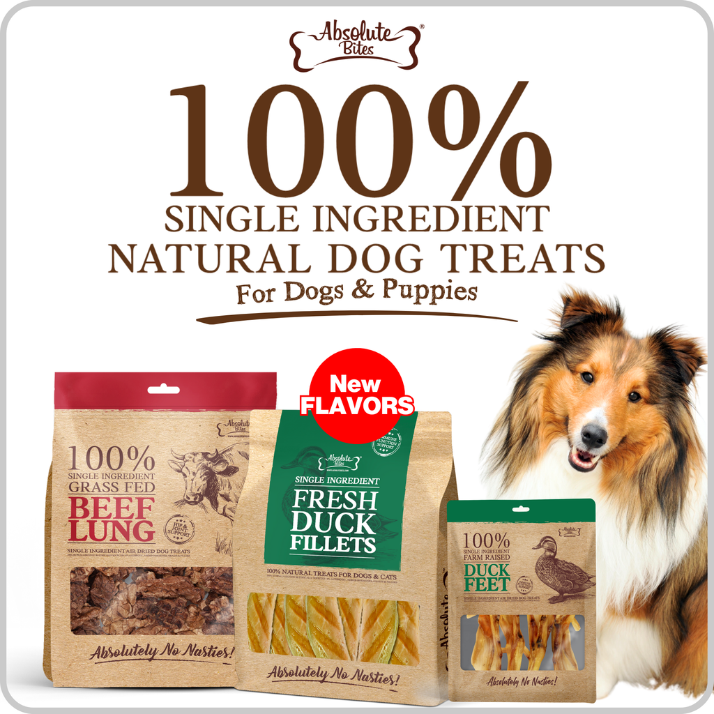 Absolute Bites Single Ingredient Dog Treats.