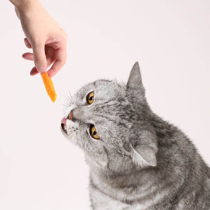 Soft & Chewy.
