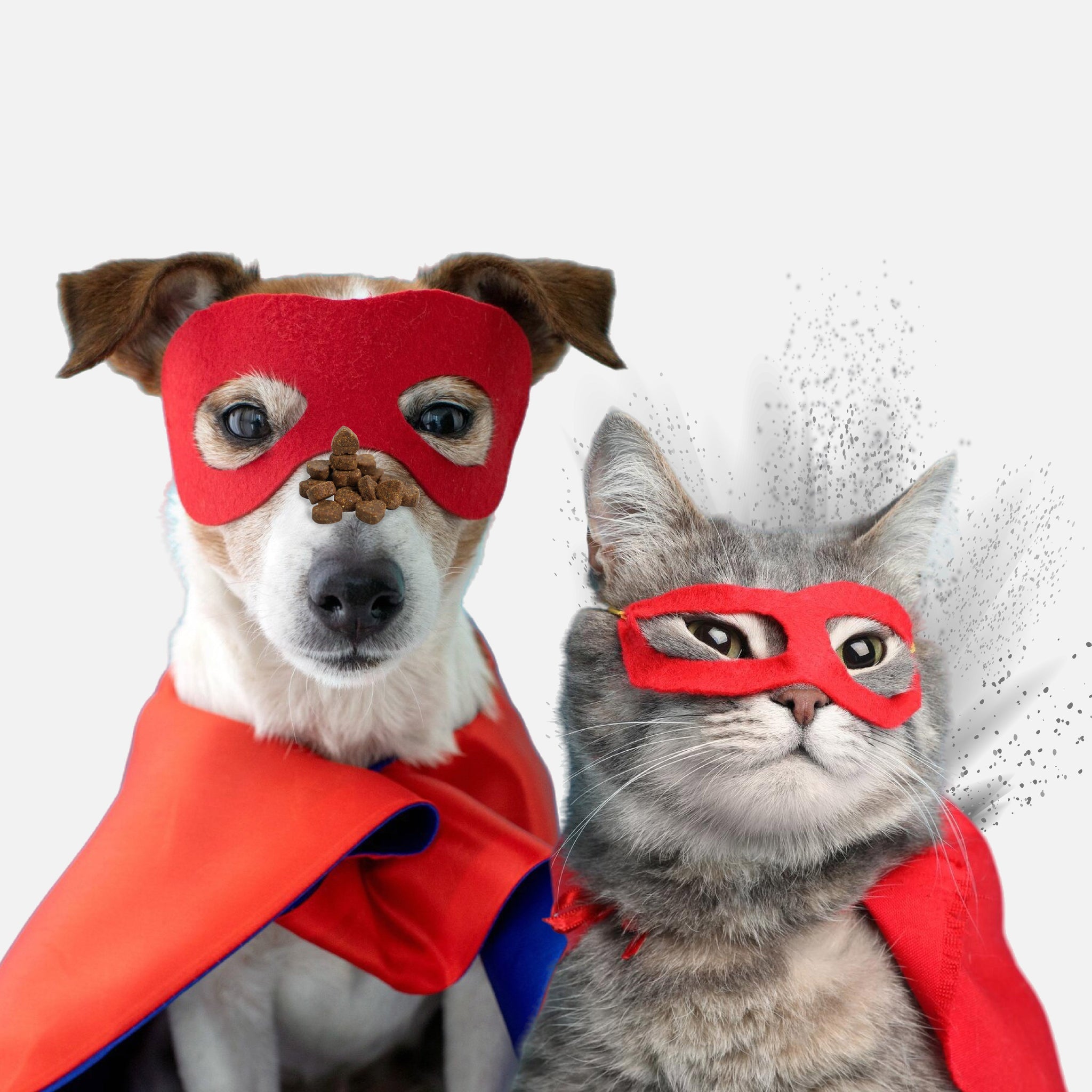 Pet Supplement.
