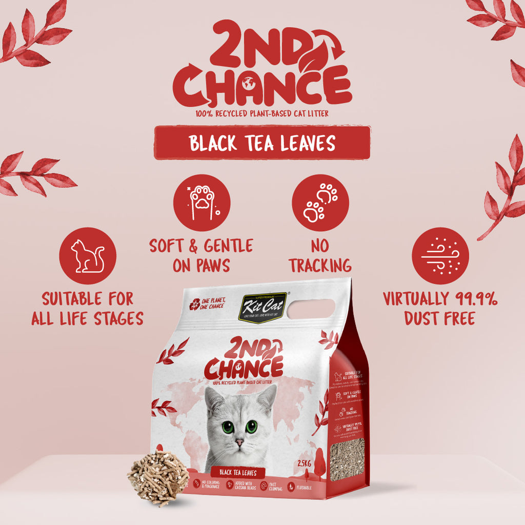[CTN OF 6] Kit Cat 2nd Chance Plant-Based Cat Litter - Black Tea Leaves (6 X 2.5KG).