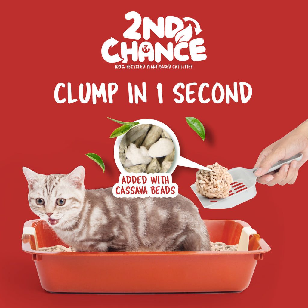 [CTN OF 6] Kit Cat 2nd Chance Plant-Based Cat Litter - Black Tea Leaves (6 X 2.5KG).