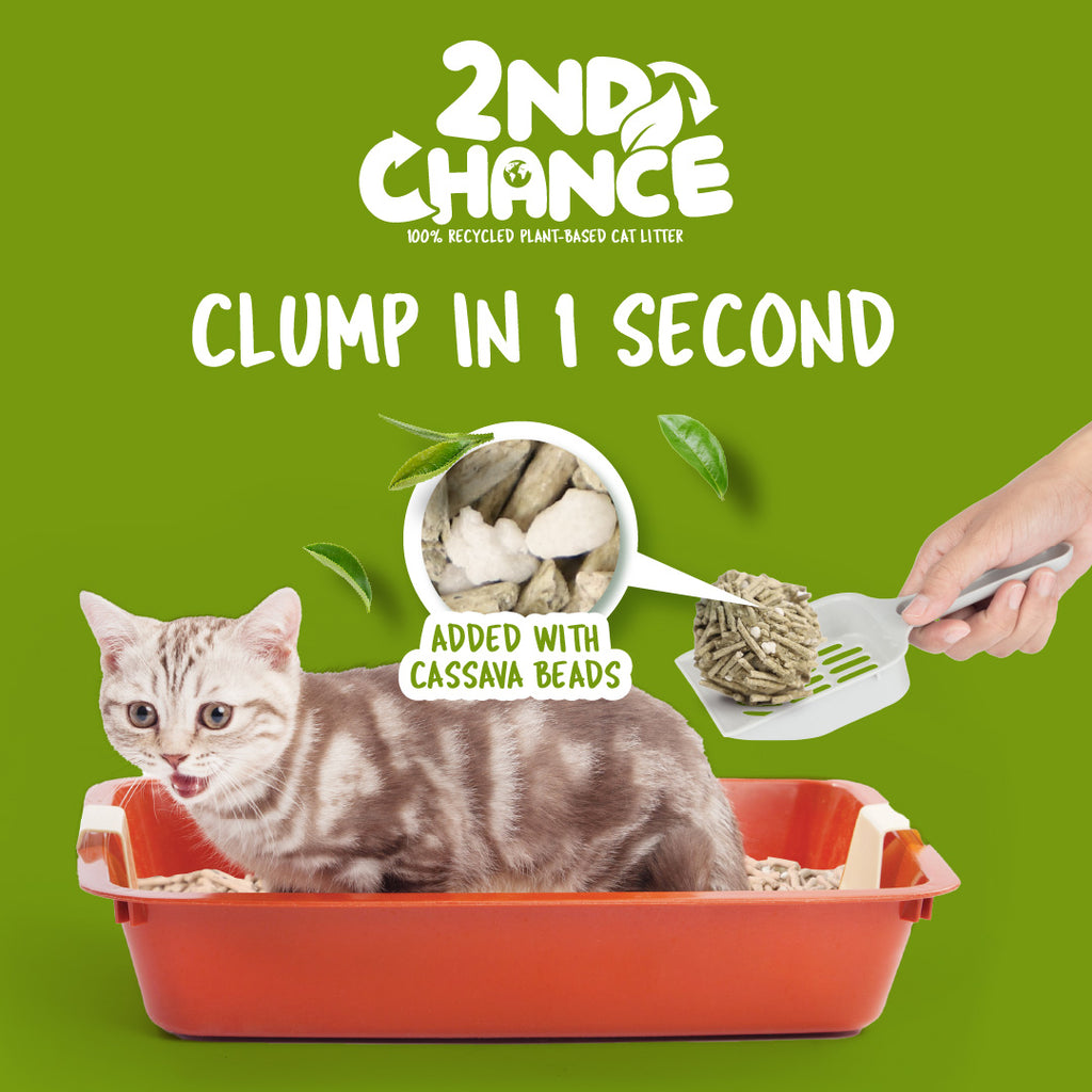 [CTN OF 6] Kit Cat 2nd Chance Plant-Based Cat Litter - Green Tea Leaves (6 X 2.5KG).