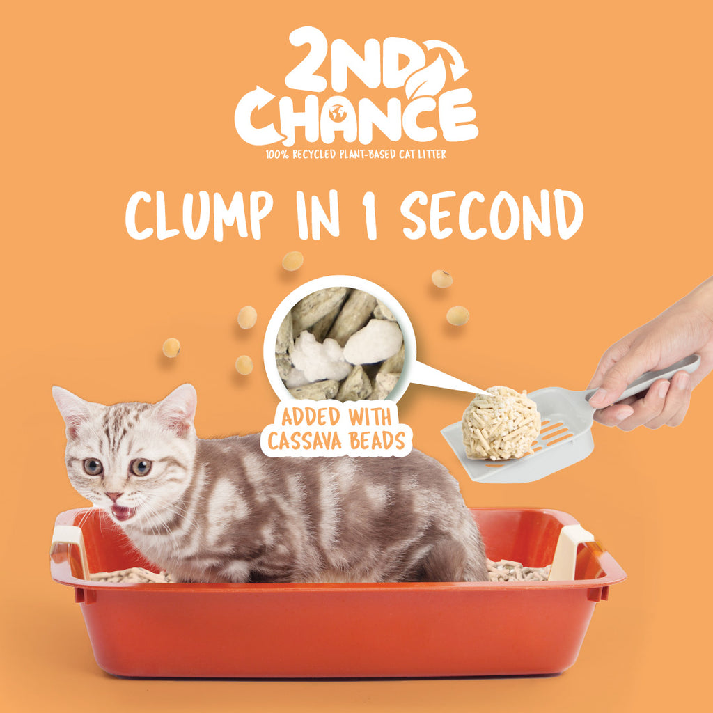 [CTN OF 6] Kit Cat 2nd Chance Plant-Based Cat Litter - Pea Fiber (6 X 2.5KG).