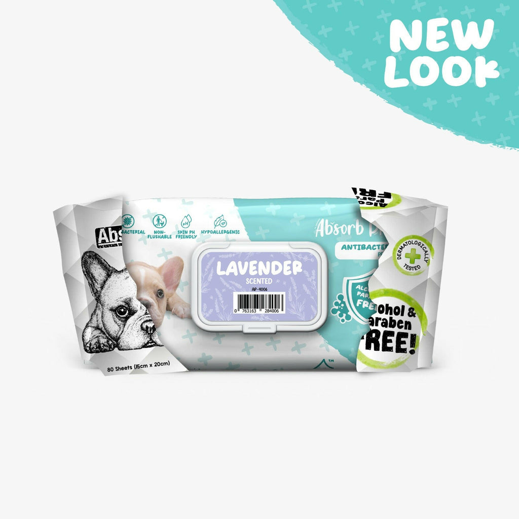 [CTN] AbsorbPlus Antibacterial Pet Wipes - Lavender (80pcs x 12) | Alcohol & Paraben Free.