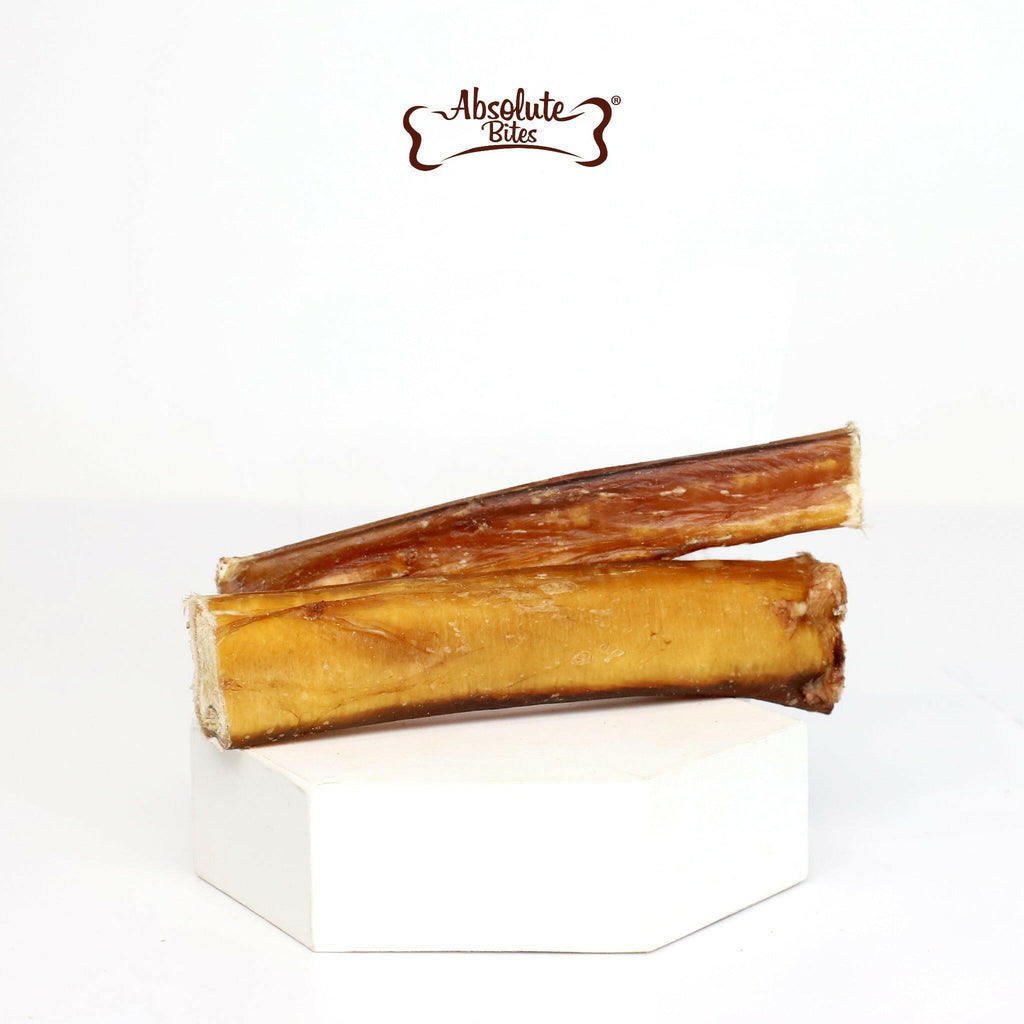 Absolute Bites Single Ingredient Dog Chew - Thick Bully Stick (Medium) | 3pcs.