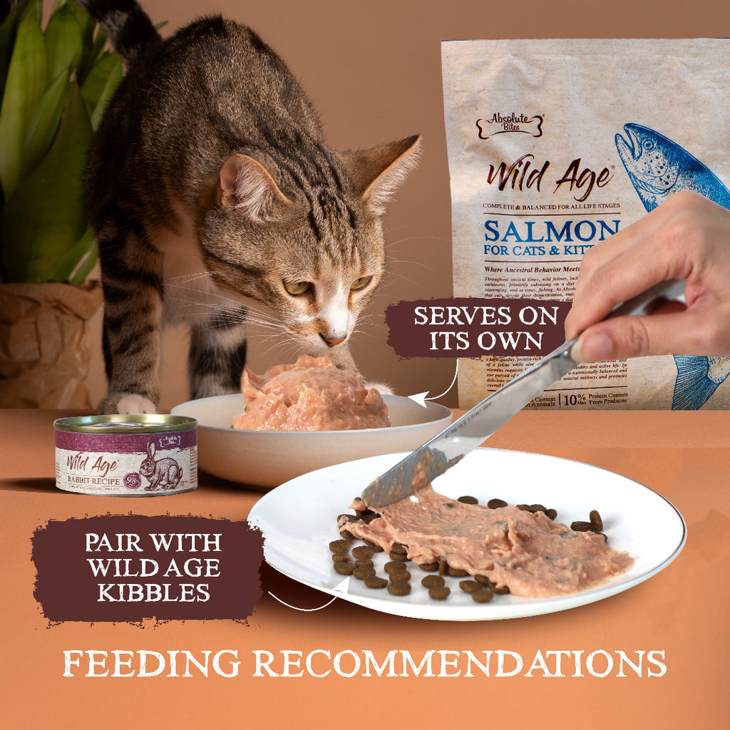 absolute bites wild age cat canned food