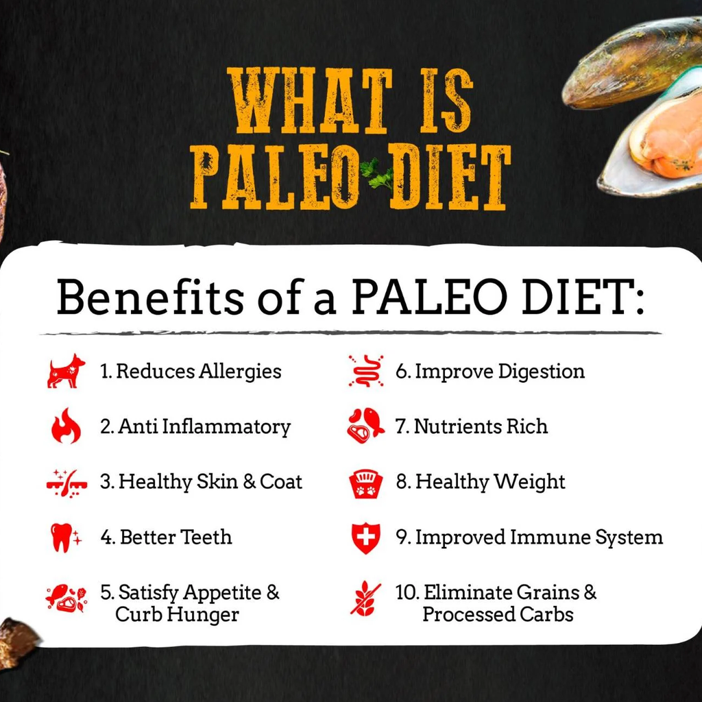 What is paleo diet