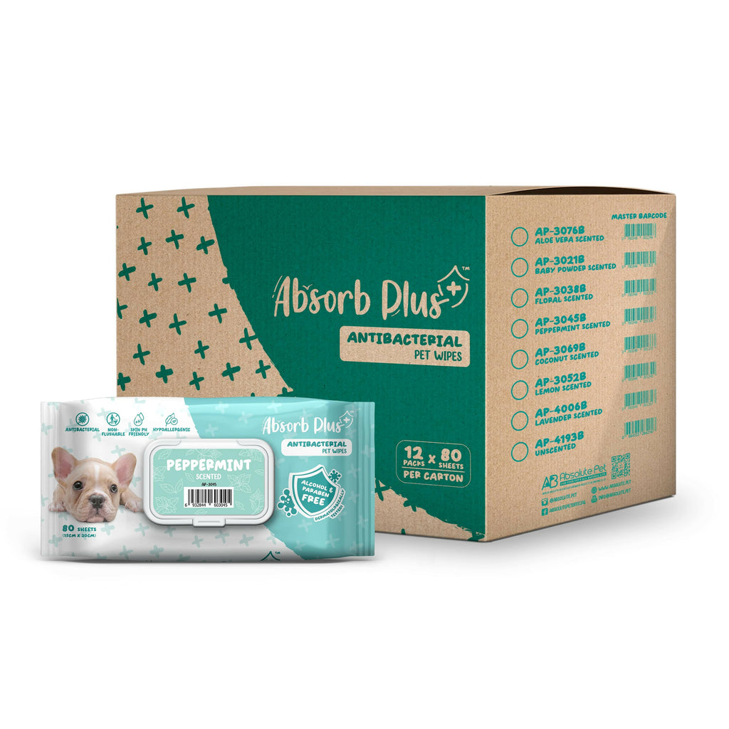 [CTN] Absorb Plus Antibacterial Pet Wipes - Peppermint (80pcs x 12) | Alcohol & Paraben Free.