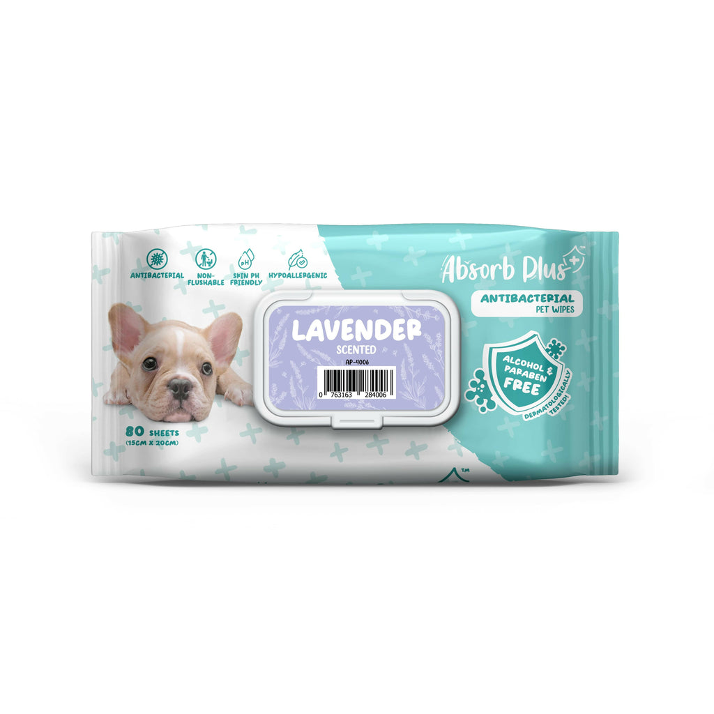 [CTN] AbsorbPlus Antibacterial Pet Wipes - Lavender (80pcs x 12) | Alcohol & Paraben Free.