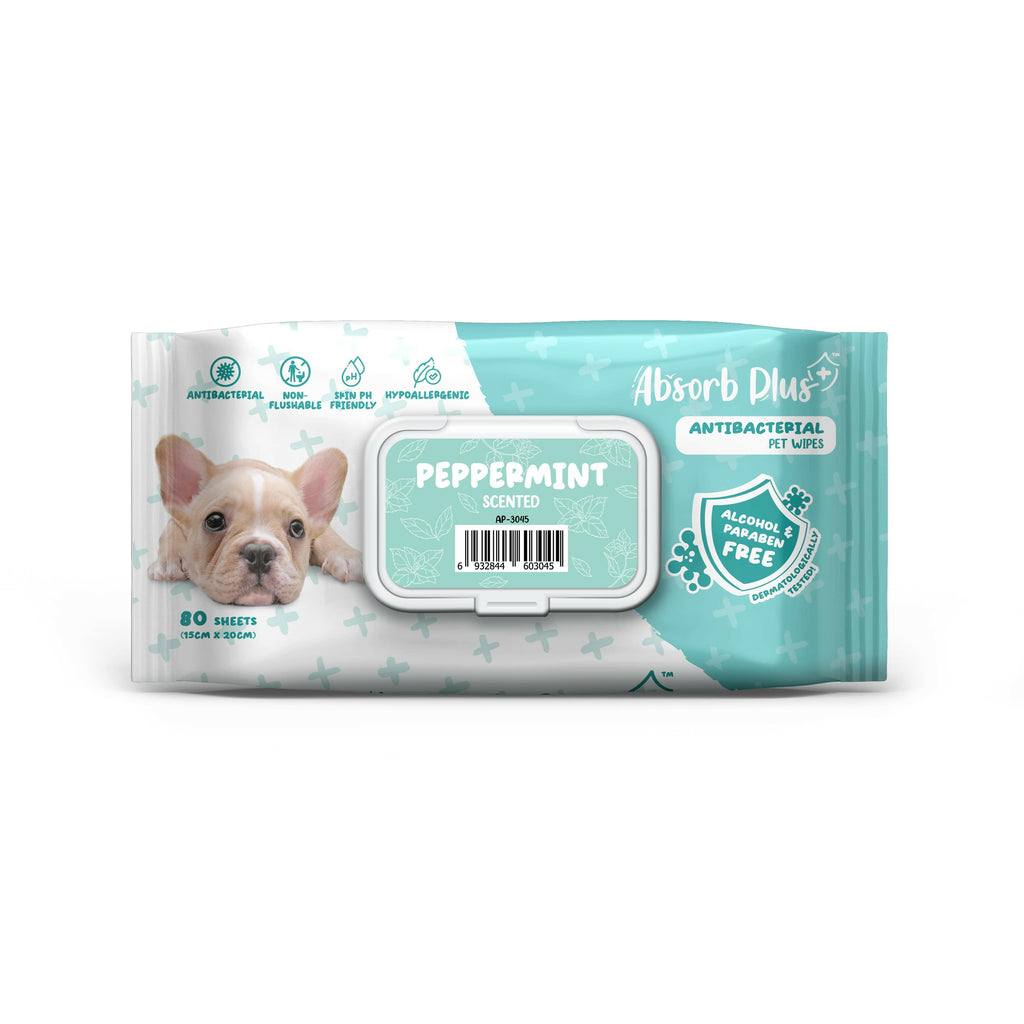 [CTN] Absorb Plus Antibacterial Pet Wipes - Peppermint (80pcs x 12) | Alcohol & Paraben Free.