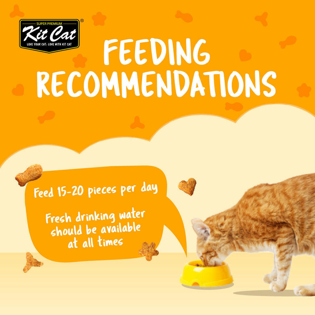 Kit Cat Kitty Crunch Cat Treats - Chicken (60g).