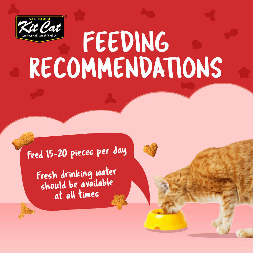 Kit Cat Kitty Crunch Cat Treats - Beef (60g).