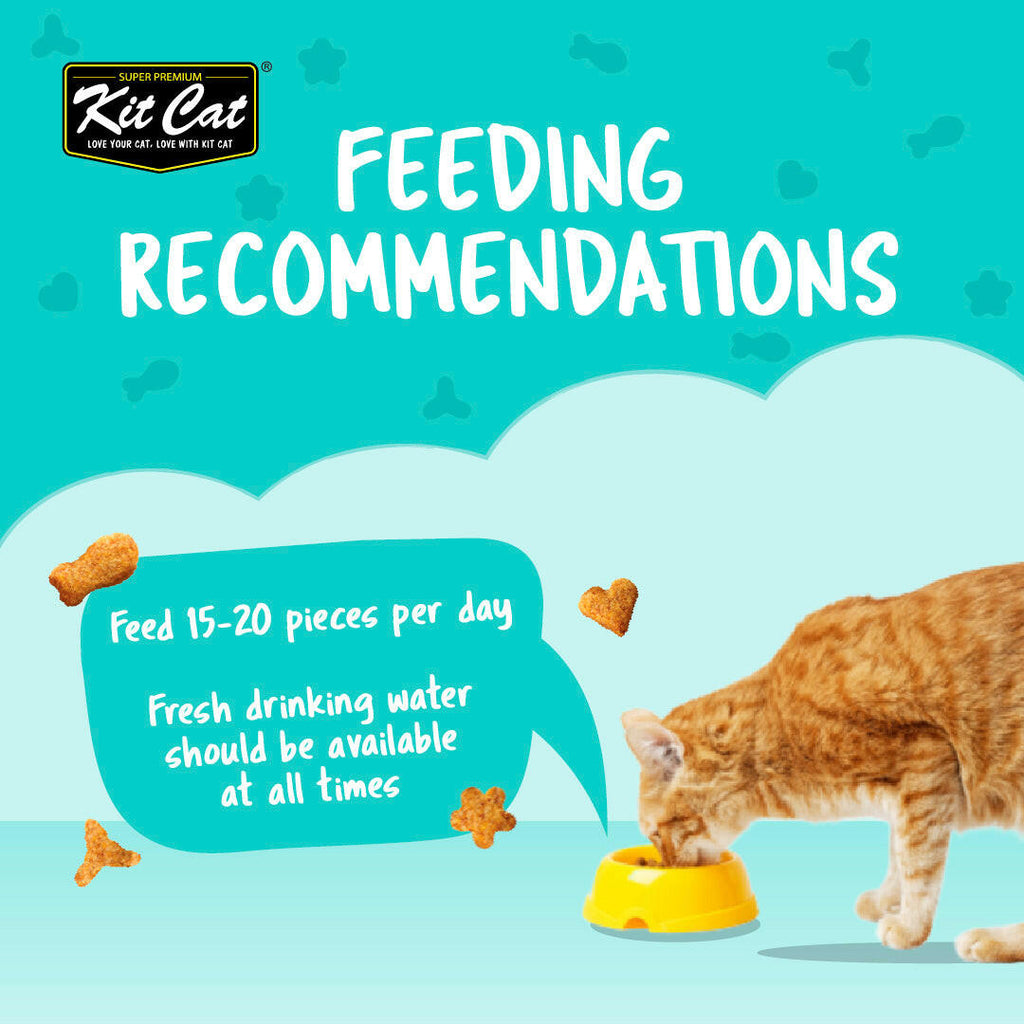 Kit Cat Kitty Crunch Cat Treats - Lamb (60g).