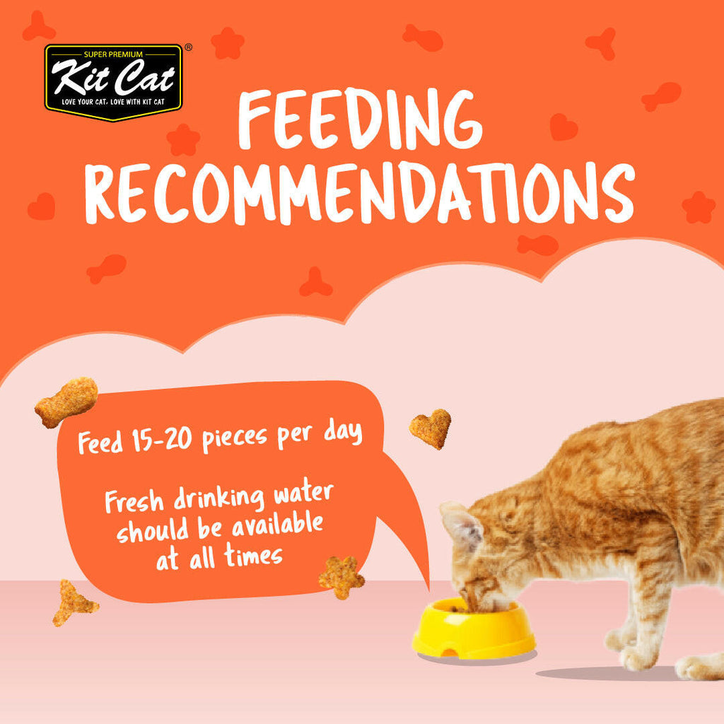 Kit Cat Kitty Crunch Cat Treats - Salmon (60g).