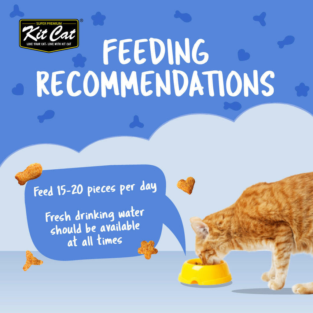 Kit Cat Kitty Crunch Cat Treats - Seafood (60g).