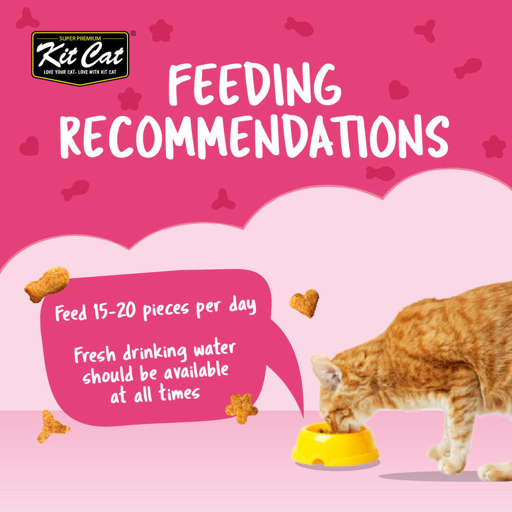 Kit Cat Kitty Crunch Cat Treats - Tuna (60g).