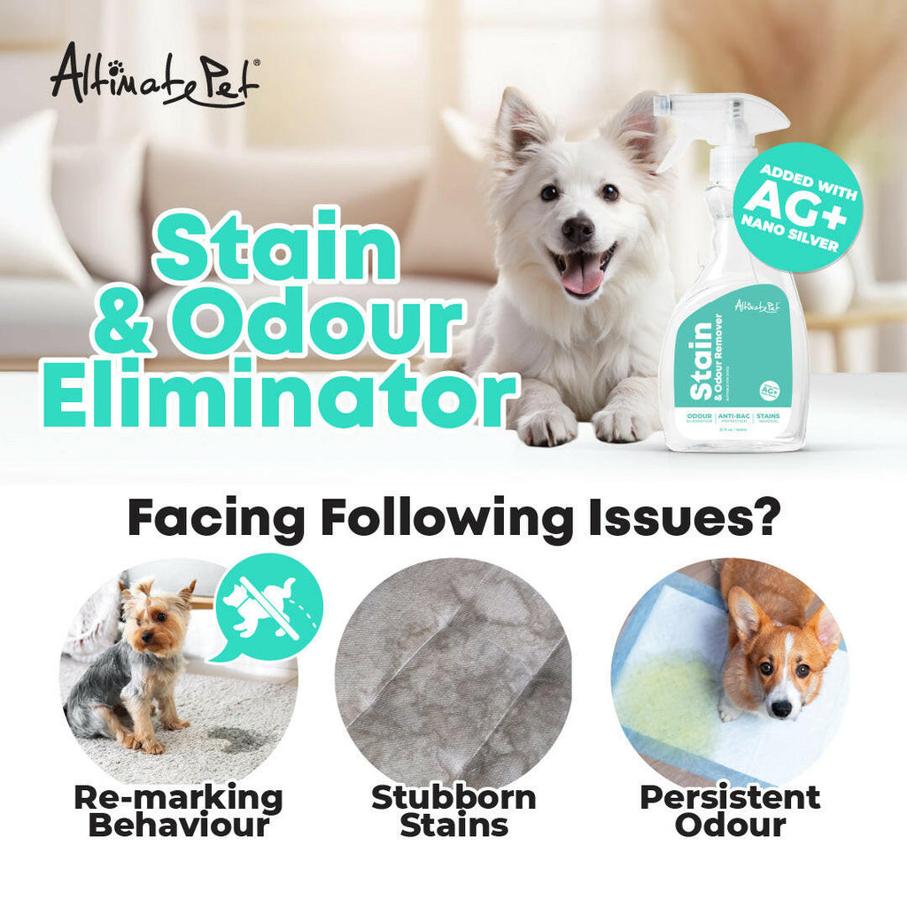 [CTN of 6]Altimate Pet Stain & Odor Remover Spray with Nano Silver & Enzyme For Dog 946ml.