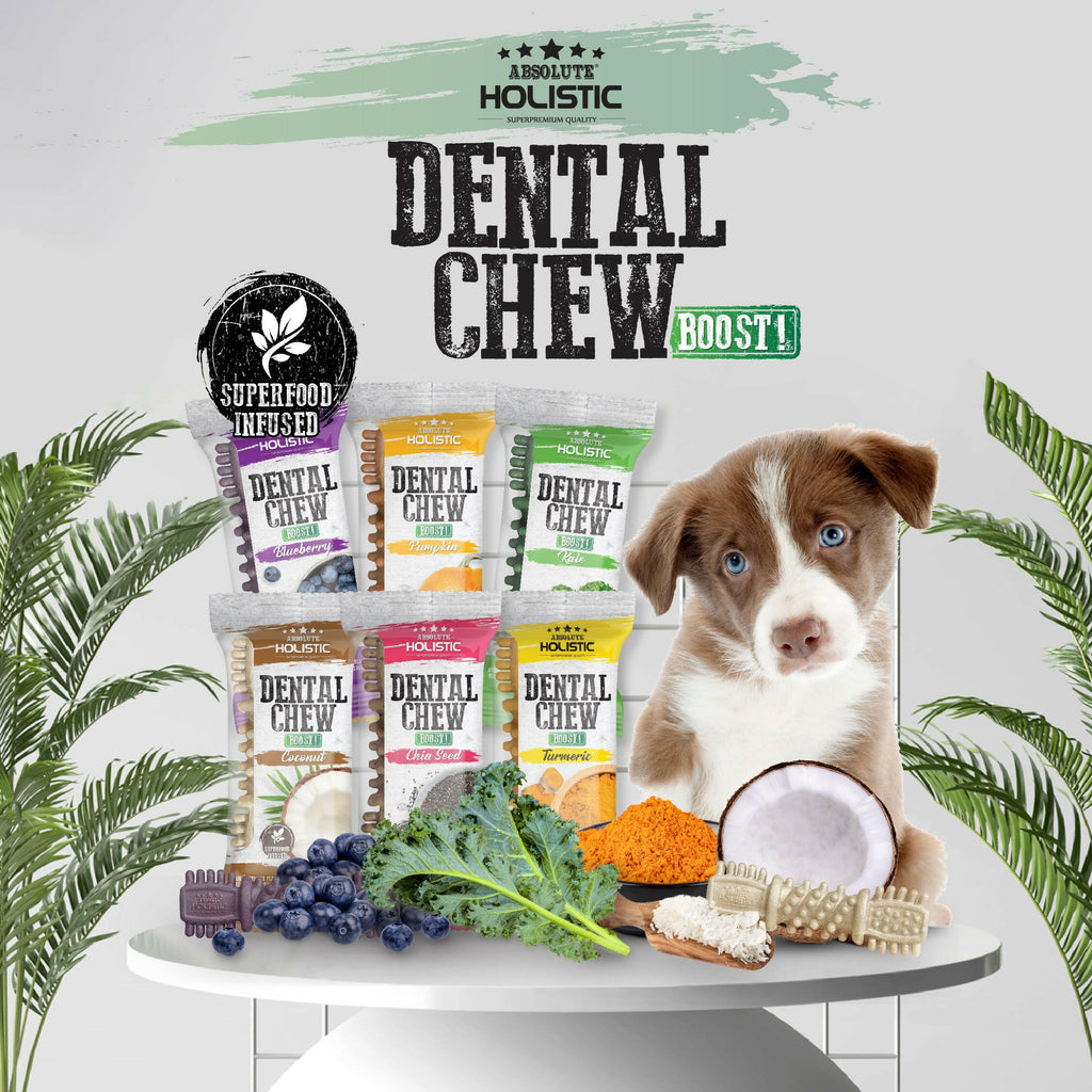 [CTN OF 50] Absolute Holistic BOOST Dental Chew for Dogs - Blueberry (4") | Infused with Superfood.
