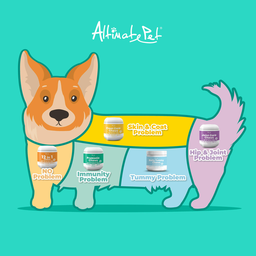 (pos)Altimate Pet Belly Tummy Vitamin Supplement For Dogs - Over 120 Soft Chews (250g).