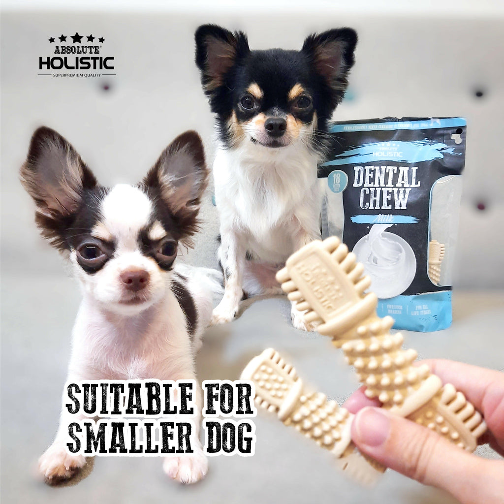 Absolute Holistic Value Pack Dental Chews for Dogs -  Milk (160g).