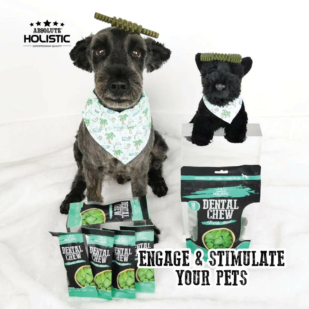 Absolute Holistic Value Pack Dental Chews for Dogs -  Fresh Mint (160g).