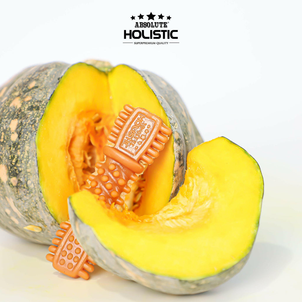[CTN OF 50] Absolute Holistic BOOST Dental Chew for Dogs - Pumpkin (4") | Infused with Superfood.