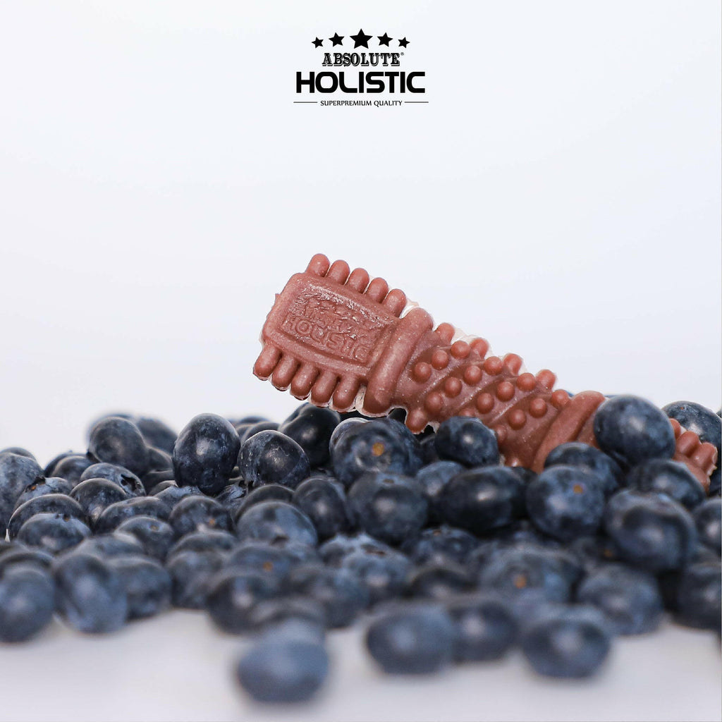 [CTN OF 50] Absolute Holistic BOOST Dental Chew for Dogs - Blueberry (4") | Infused with Superfood.