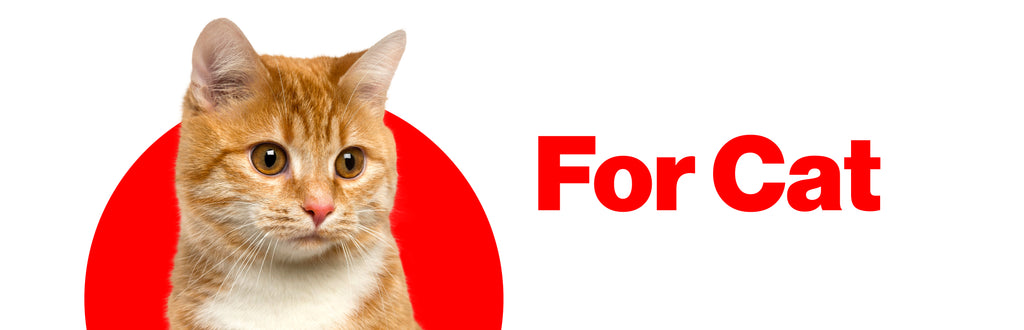 FOR CAT.jpg__PID:15e40514-b02e-4c3c-ab2a-5b3de24b9821