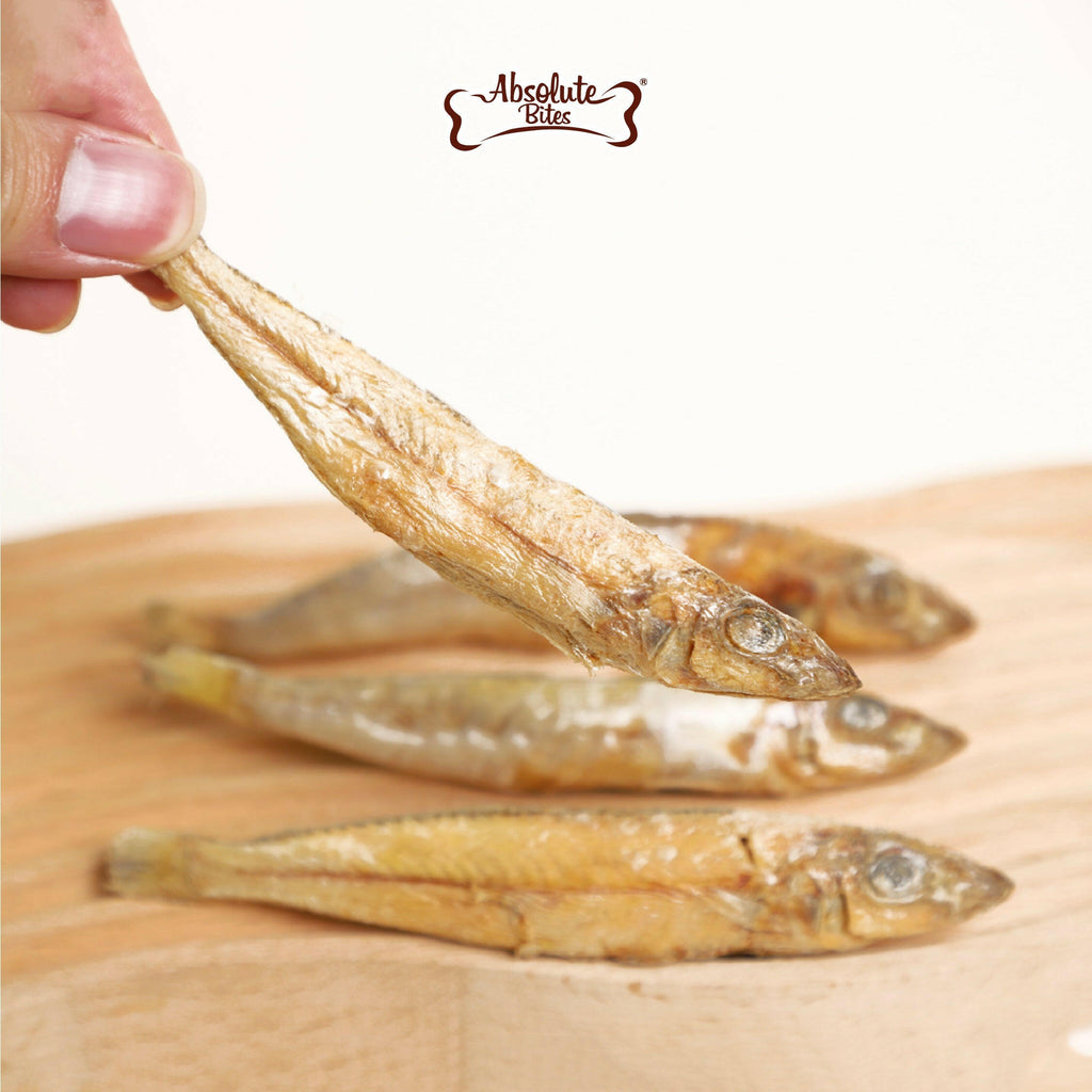 Absolute Bites Single Ingredient Freeze Dried Raw Treats for Dogs & Cats - Sardine (50g).