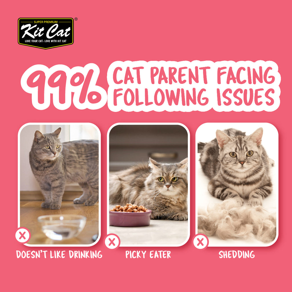 Kit Cat Complete Cuisine