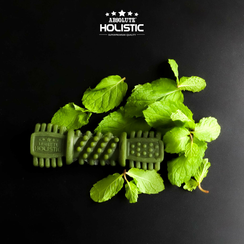 [CTN OF 50] Absolute Holistic Dental Chew for Dogs - Fresh Mint (4").