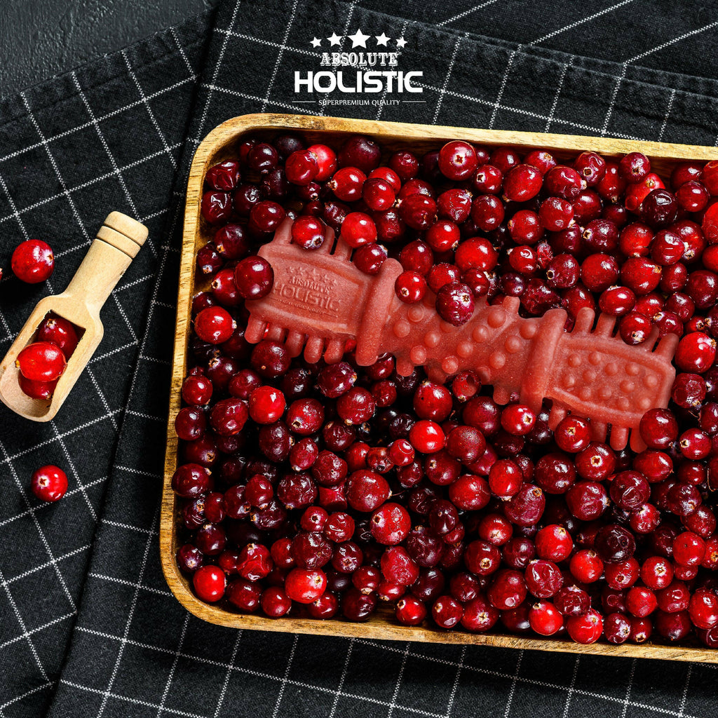 [CTN OF 50] Absolute Holistic Dental Chew for Dogs - Cranberry (4").
