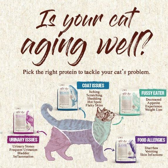 Is your cat aging well?