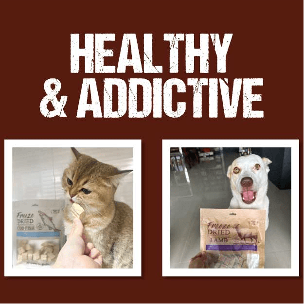 Absolute Bites Single Ingredient Freeze Dried Treats - Healthy Addictive