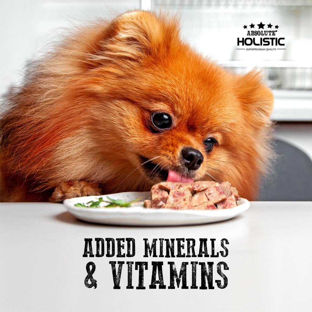 Absolute Holistic Complete & Balanced Meaty Loaf Wet Tray Food for Dog - Salmon(100g).