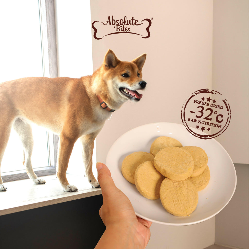 Absolute Bites Freeze Dried Raw Patties Dog Food - Lamb Recipe (14oz).