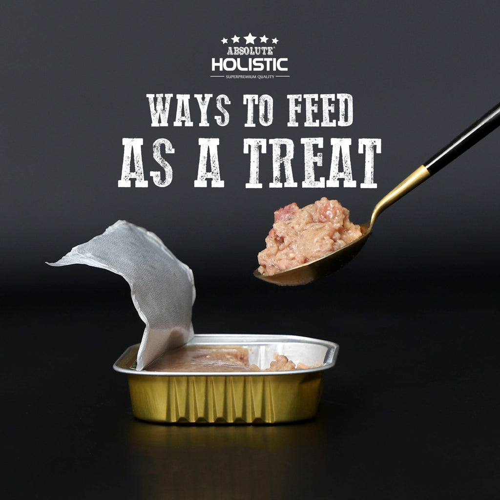 Absolute Holistic Complete & Balanced Meaty Loaf Wet Tray Food for Dog - Salmon(100g).