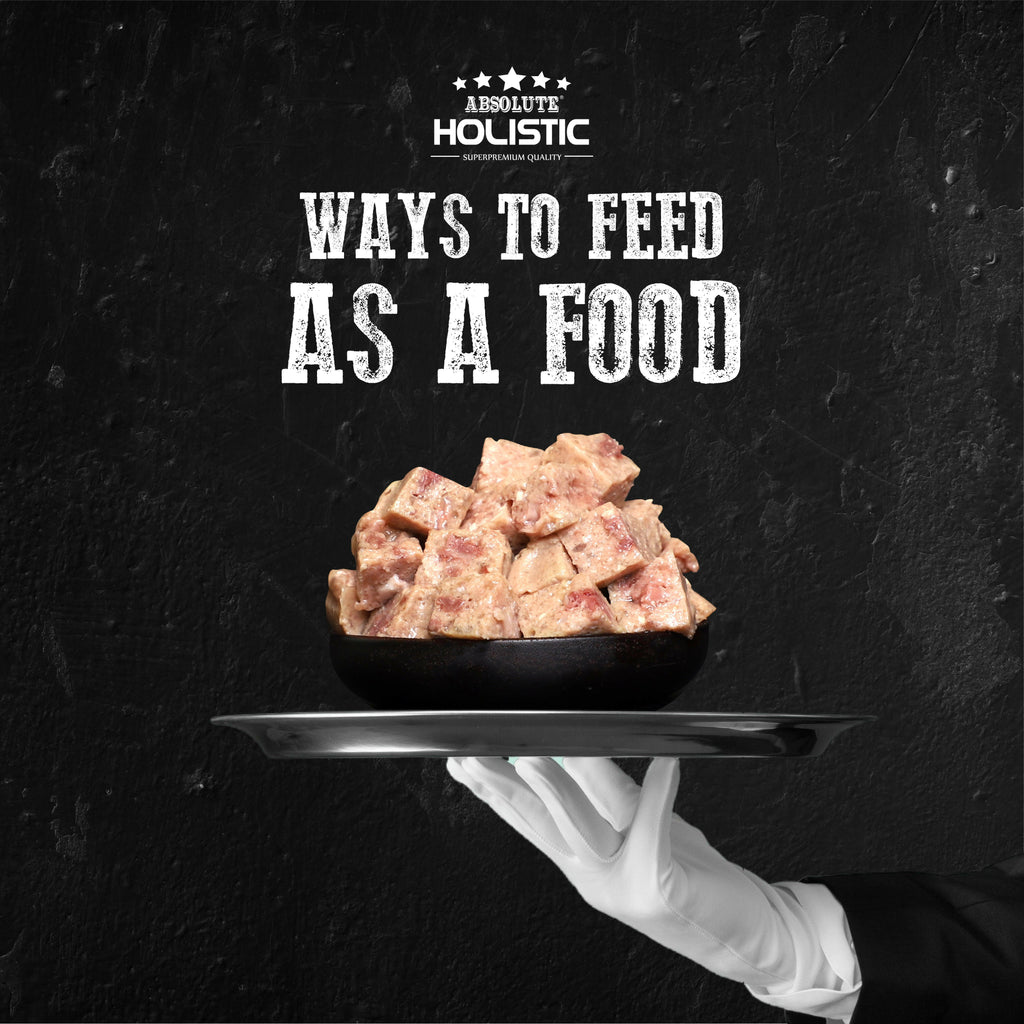 Absolute Holistic Complete & Balanced Meaty Loaf Wet Tray Food for Dog - Salmon(100g).
