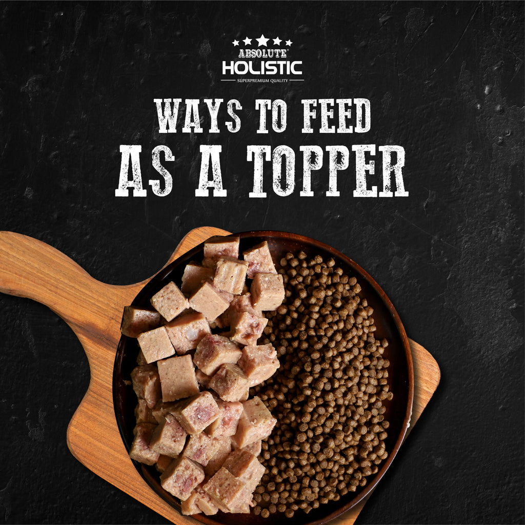 Absolute Holistic Complete & Balanced Meaty Loaf Wet Tray Food for Dog - Salmon(100g).